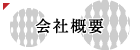 ЊTv